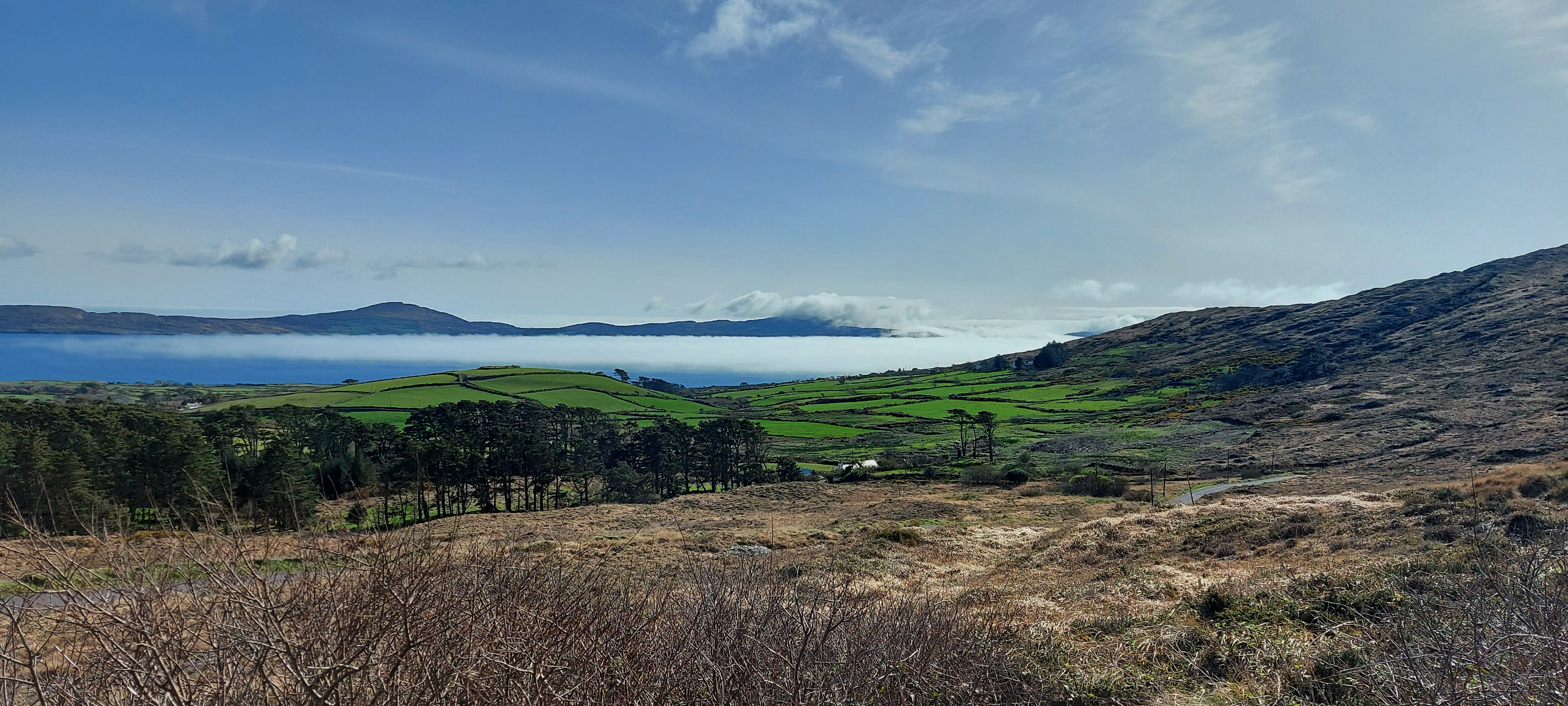 View from top of hill